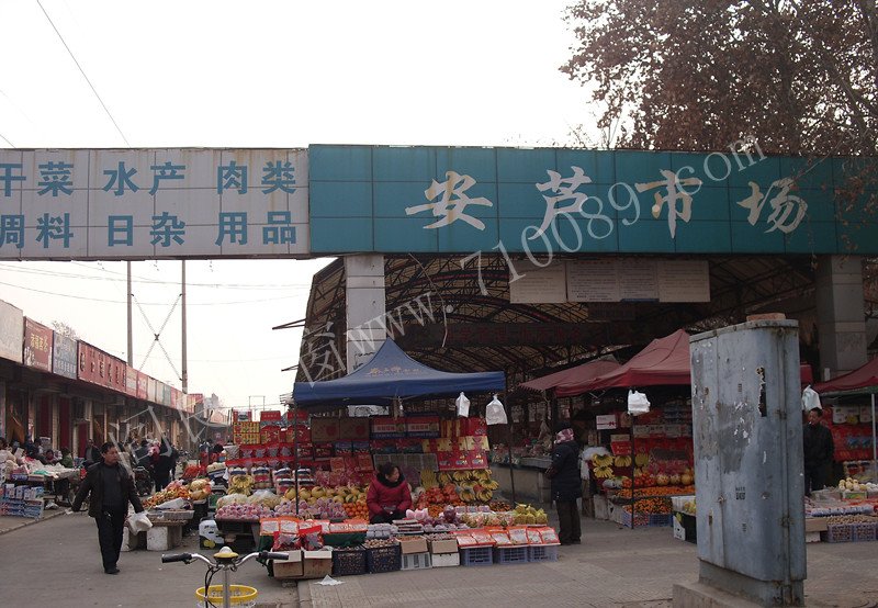 阎良之窗的阎良之窗简介