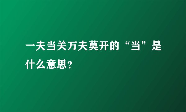 一夫当关万夫莫开的“当”是什么意思？