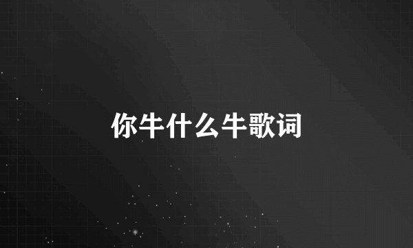 你牛什么牛歌词