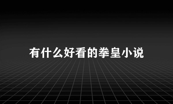 有什么好看的拳皇小说