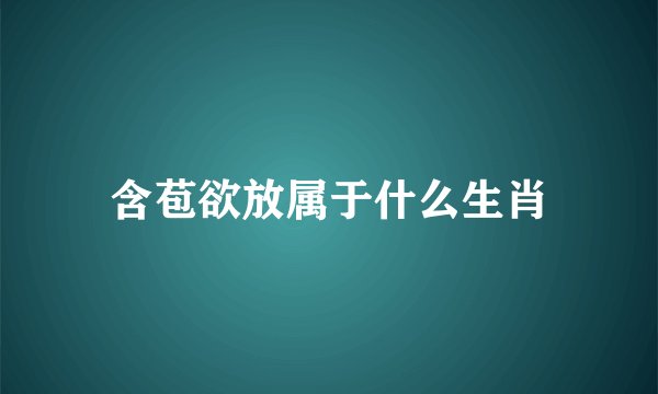 含苞欲放属于什么生肖