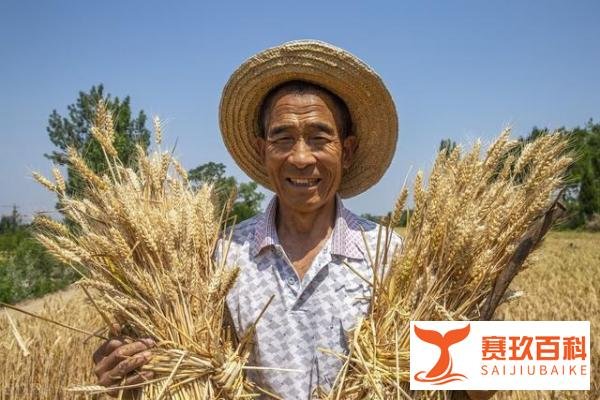 向种粮农民发 100 亿元补贴，农民喜欢么？