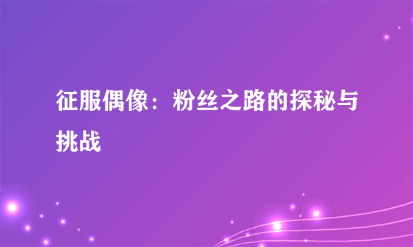 征服偶像：粉丝之路的探秘与挑战