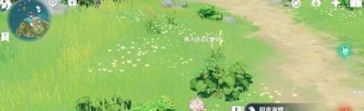 原神破破岛幻境海螺位置在哪