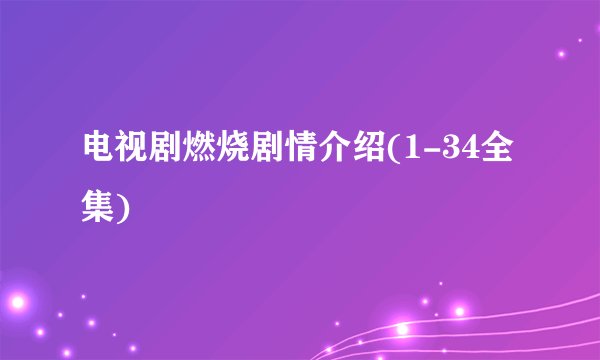 电视剧燃烧剧情介绍(1-34全集)