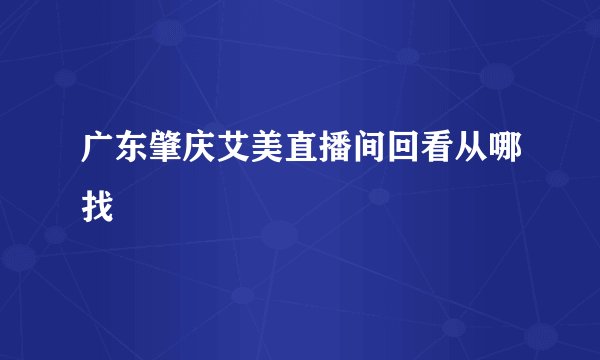 广东肇庆艾美直播间回看从哪找