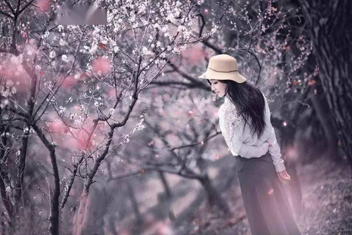 回眸的意思