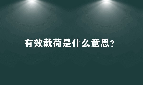 有效载荷是什么意思？