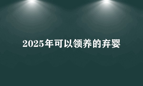 2025年可以领养的弃婴