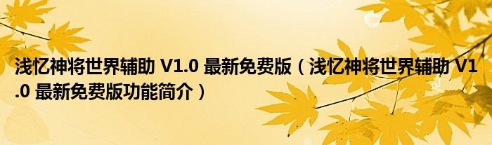 浅忆神将世界辅助V10最新免费版浅忆神将世界辅助V10最新免费版功能简介