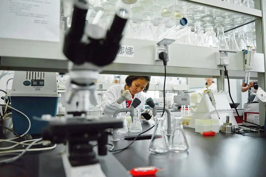 日本青年学者掀起赴华浪潮，这一举动透露出什么信息？