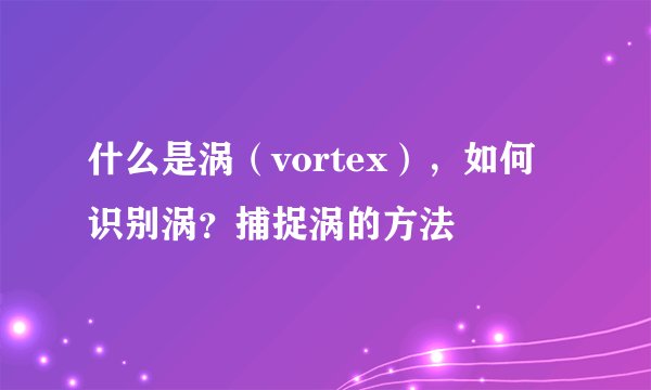 什么是涡（vortex），如何识别涡？捕捉涡的方法