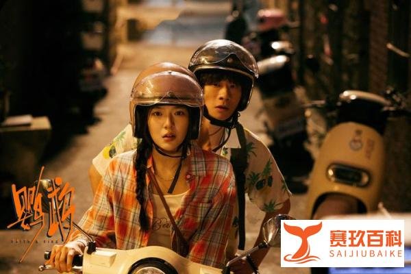 解读《鹦鹉》20位角色,陈天爽桃花运爆棚