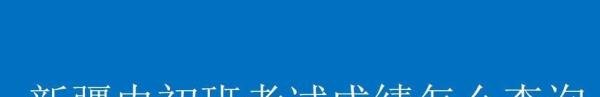 新疆内初班考试成绩怎么查询