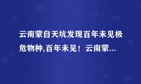 云南蒙自天坑发现百年未见极危物种,百年未见！云南蒙自天坑现极危物种