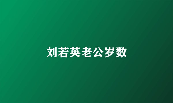 刘若英老公岁数