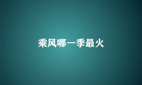 乘风哪一季最火