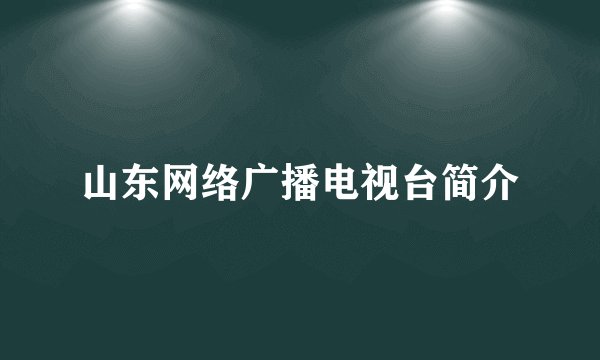 山东网络广播电视台简介