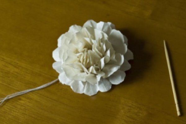 悼念小白花怎么做