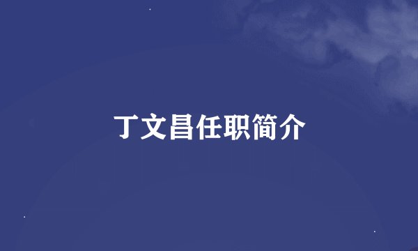 丁文昌任职简介