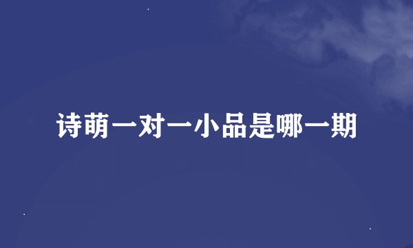 诗萌一对一小品是哪一期