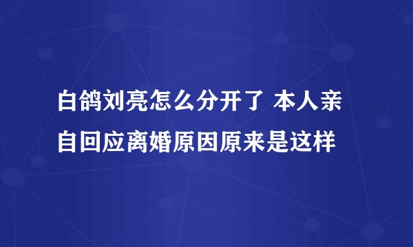 白鸽刘亮怎么分开了 本人亲自回应离婚原因原来是这样