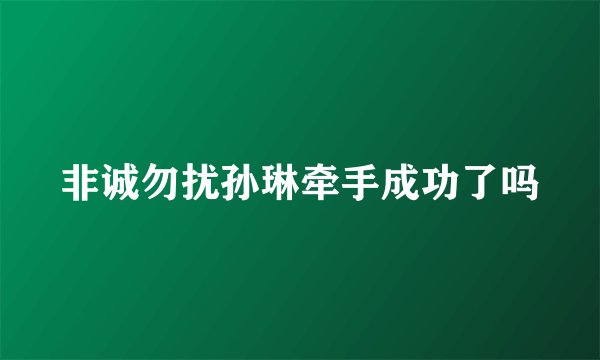 非诚勿扰孙琳牵手成功了吗