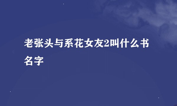 老张头与系花女友2叫什么书名字