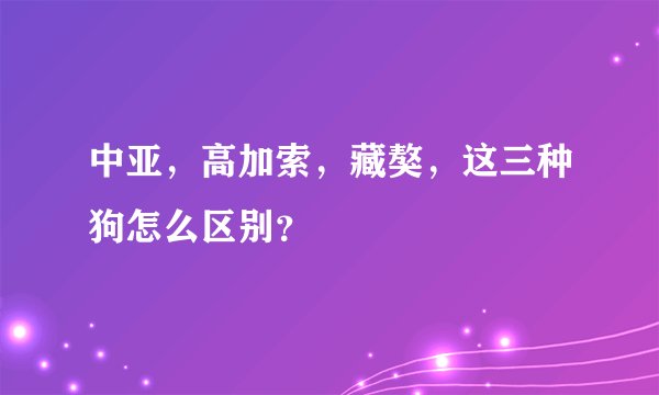 中亚，高加索，藏獒，这三种狗怎么区别？