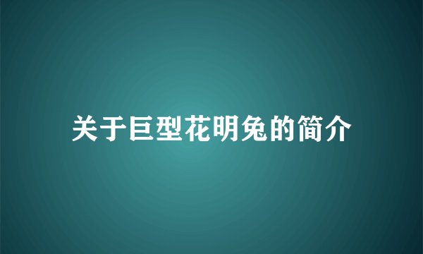 关于巨型花明兔的简介