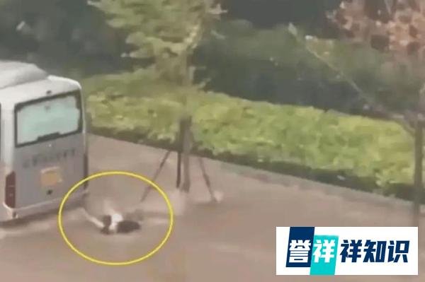大连内涝两人骑车被冲入客车底部死亡，逝者为父女关系，评论沦陷