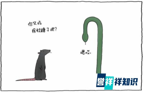 《你今天真好看》一本超级治愈的绘本，让你一秒钟回到快乐的童年时光。