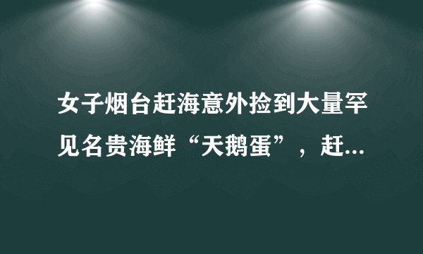 女子烟台赶海意外捡到大量罕见名贵海鲜“天鹅蛋”，赶海需要注意哪些事项?