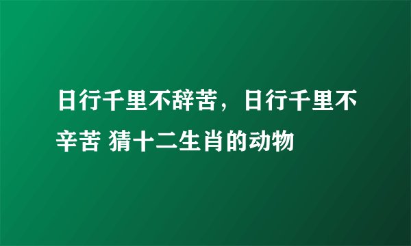 日行千里不辞苦，日行千里不辛苦 猜十二生肖的动物