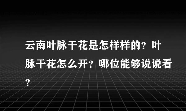 云南叶脉干花是怎样样的?叶脉干花怎么开?哪位能够说说看?