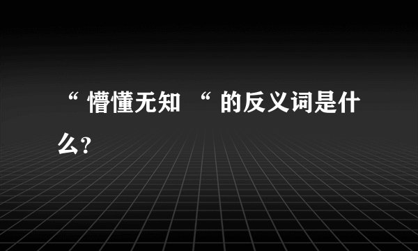 “ 懵懂无知 “ 的反义词是什么？