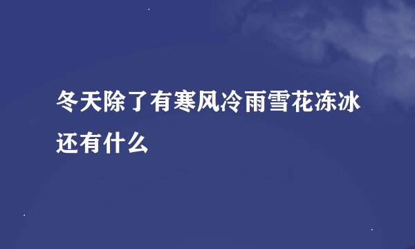 冬天除了有寒风冷雨雪花冻冰还有什么