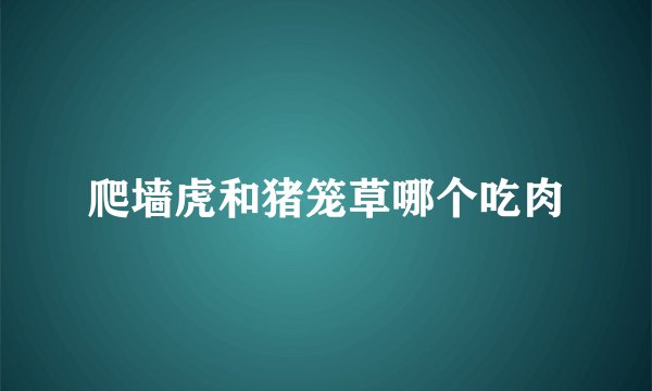 爬墙虎和猪笼草哪个吃肉