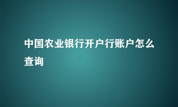 中国农业银行开户行账户怎么查询