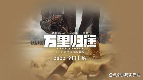 万里归途故事情节介绍