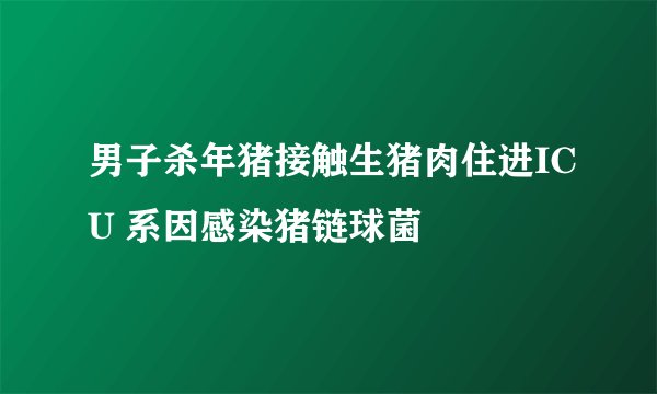 男子杀年猪接触生猪肉住进ICU 系因感染猪链球菌