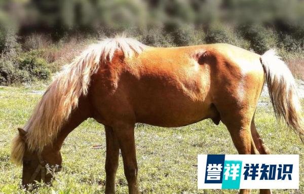 1800人竞聘10个岗位录取率不到1%,求职者为面试甘愿冒风险争取