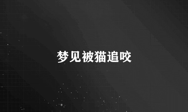梦见被猫追咬