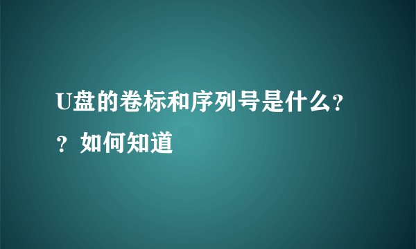 U盘的卷标和序列号是什么？？如何知道