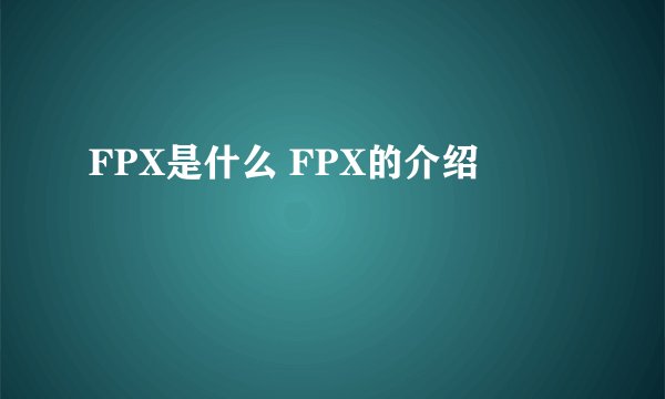 FPX是什么 FPX的介绍