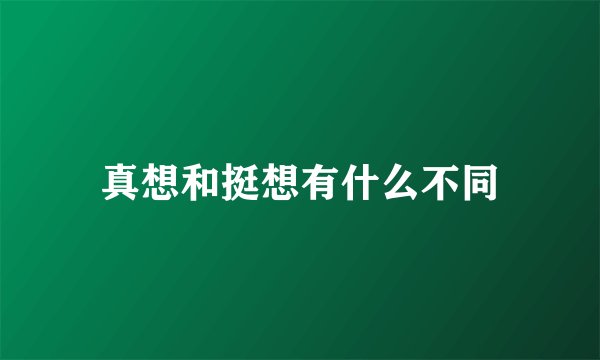 真想和挺想有什么不同