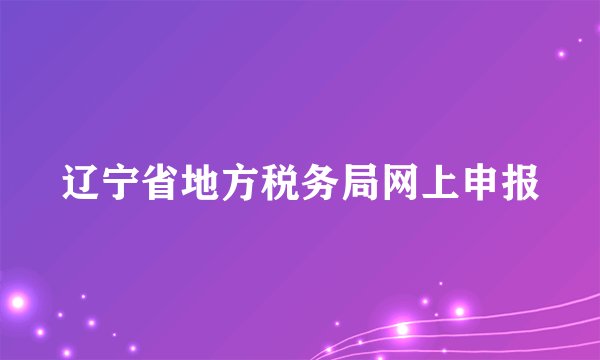 辽宁省地方税务局网上申报