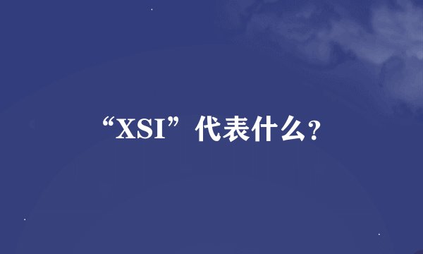 “XSI”代表什么？