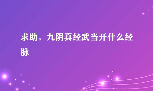 求助，九阴真经武当开什么经脉