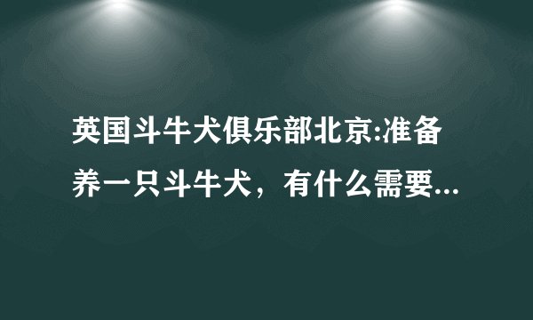 英国斗牛犬俱乐部北京:准备养一只斗牛犬，有什么需要注意的问题吗？
